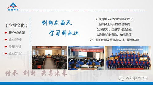 赛特传动 文化铸魂，聚力前行——公司成功举办企业文化培训与艺术交流活动